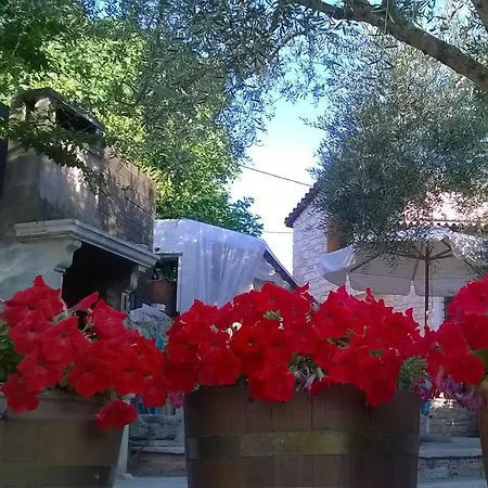 Anastasia Villa *
